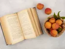 Τι σημαίνει η λέξη «σκαπετάω»