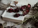 Τι σημαίνει η λέξη «χθόνιος»