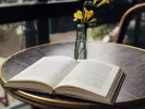 Τι σημαίνει η λέξη «ματσαράγκα»