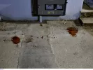 Μητροκτονία στη Λάρισα: Μετανιωμένος δηλώνει ο 21χρονος - «Είχα πιει»