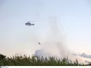 ΙΝΤΙΜΕ