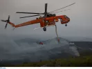 ΙΝΤΙΜΕ