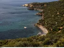ΠΕ Χαλκιδικής: Προσλήψεις γεωπόνων για την καταπολέμηση του δάκου της ελιάς