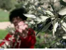 Περιφέρειες: Άνοιξαν οι αιτήσεις για 16 προσλήψεις στα Χανιά