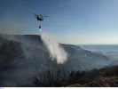 Φωτιά τώρα στη Φωκίδα - Επιχειρούν 42 πυροσβέστες
