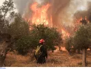 Αυξημένος κίνδυνος πυρκαγιάς σήμερα σε Αττική και 13 ακόμη περιοχές