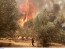 Πυρκαγιά στο Ηράκλειο: Εκκενώνεται o Τσίγκουνας  - Μήνυμα 112 