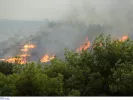 Κίνδυνος πυρκαγιάς: Κατηγορία κινδύνου 4 αύριο σε δύο περιοχές