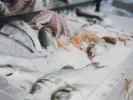 κατεψυγμένο ψάρι 