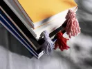 Τι σημαίνει η λέξη «αβανιά»