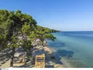 Περιφερειακή Ενότητα Καβάλας: Προχωρά σε προσλήψεις για την αντιμετώπιση του δάκου της ελιάς