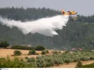 ΙΝΤΙΜΕ