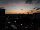 Summer nights