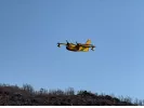 Χαλκιδική: Σε ύφεση η φωτιά στη Βουρβουρού - Σε επιφυλακή η Πυροσβεστική