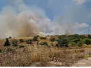 Φωτιά τώρα στη Λέσβο - Κοντά σε κατοικημένη περιοχή