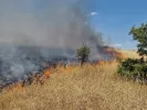 Φωτιά