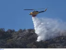 Φωτιά τώρα στα Οινόφυτα - Κοντά στην εθνική οδό