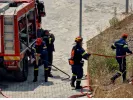 Φωτά τώρα στην Εύβοια - Σπεύδουν 60 πυροσβέστες