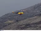 Μεγάλη φωτιά στο Μαραθώνα - Μήνυμα 112 για εκκένωση