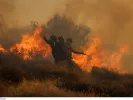 «Κόκκινος» συναγερμός! Ακραίος κίνδυνος πυρκαγιάς αύριο (χάρτης)