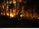 Πολύ υψηλός κίνδυνος πυρκαγιάς αύριο - Σε ποιες περιοχές