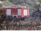Πυρκαγιές: Πολύ ύψηλος κίνδυνος σχεδόν σε όλη τη χώρα λόγω καύσωνα