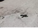Η συγκλονιστική ανάρτηση για τη δημοσιογράφο, Αύρα Γρηγορίου, που αυτοπυρπολήθηκε
