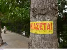 Ενοικιάσεις κατοικιών: Έρχεται «πιστοποιητικό καλοπληρωτή»