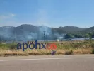 Φωτιά / Apohxos.gr