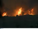 Φλέγεται η Ελλάδα: Εικόνες «αποκάλυψης» από όλα τα πύρινα μέτωπα