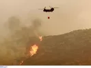 Φωτιά στα Πετράλωνα Μεσσηνίας: Εκκενώνονται σπίτια, απειλούνται από τη φωτιά