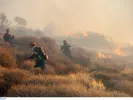 Ξέσπασε πυρκαγιά Αμμότοπο Άρτας – Ήχησε το 112 για εκκένωση