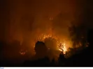 Πύρινος εφιάλτης στον Τύρναβο: Ολονύκτια μάχη με τις φλόγες