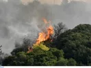 Δράμα: Φωτιά τώρα στο Παρανέστι - Επιχειρούν εναέρια μέσα