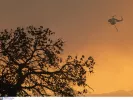 Αργολίδα: Πυρκαγιά τώρα στην Ερμιόνη - Επιχειρούν εναέρια μέσα