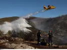 Φωτιά τώρα στη Βοιωτία: Ήχησε το 112 - Επιχειρούν εναέρια μέσα