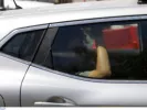 ΙΝΤΙΜΕ