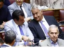 Πλευρης βοριδης