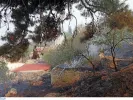 ΙΝΤΙΜΕ