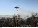 ΙΝΤΙΜΕ