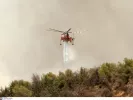 ΙΝΤΙΜΕ
