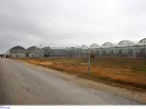 Θερμοκήπια - Στέγαστρα φυτικής παραγωγής: Παρατείνονται οι αιτήσεις