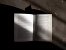 Τι σημαίνει η λέξη «δανδής»