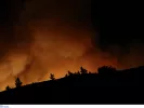 Φωτιά στη Χίο: «Ρωτάγαμε αστυνομικούς «τι να κάνουμε;» και μας έλεγαν «ό,τι θέλετε»