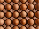 Αυγά - Eggs