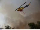 Φωτιά τώρα στην Κάρυστο - Κινητοποιήθηκαν 58 πυροσβέστες