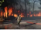 Μενίδι: Νύκτα-κόλαση από τη φωτιά - Έγινε στάχτη εργοστάσιο (βίντεο)