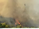 Φωτιά τώρα στο Πολυδάμειο Λάρισας - Ρίψεις από εναέρια μέσα
