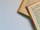 Τι σημαίνει η λέξη «αλγηδόνα»
