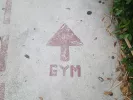 Γυμναστική και αθλητισμός
